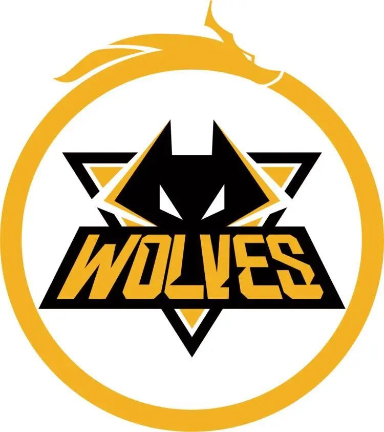 2025KPL夏季赛是日官方预测，VG、TES.A无人看好